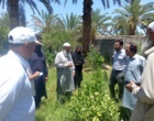 برگزاری روز مزرعه مرکبات و یونجه در شهرستان ایرانشهر