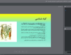 وبینارآموزشی با موضوع مدیریت زراعت ذرت
