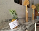 ثبت سنگین‌ترین آناناس ایران در خاک چابهار برای نخستین بار در ایران