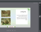 وبینار آموزشی با موضوع مدیریت سوسک حنایی خرما