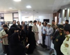 تولید انبوه نهال خرمای مجول کلید توسعه پایدار