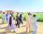 یازدهمین کاروان ترویج بهره وری ویژه الگوی کشت در شهرستان دلگان چاه نواب