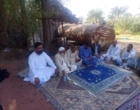برگزاری روز مزرعه الگویی کشت کنجد در منطقه جلگه چاه هاشم شهرستان دلگان
