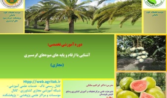 دوره آموزشی آشنایی با ارقام و پایه‌های میوه‌های گرمسیری
