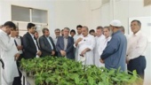 بازدید دکتر عسکری رئیس کمیسیون کشاورزی مجلس از آزمایشگاه کشت بافت مرکز تحقیقات و آموزش کشاورزی و منابع طبیعی بلوچستان