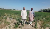 بازدید معاون پژوهش، فناوری و انتقال یافته های تحقیقاتی از روند عملیات داشت مزارع بذری و طرح های تحقیقاتی مرکز