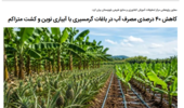 کاهش ۴۰ درصدی مصرف آب در باغات گرمسیری با آبیاری نوین و کشت متراکم