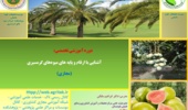دوره آموزشی آشنایی با ارقام و پایه‌های میوه‌های گرمسیری