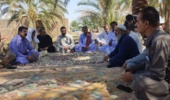 برگزاری یازدهمین کاروان ترویج بهره وری ویژه الگوی کشت ملی در شهرستان ایرانشهر