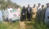 یازدهمین کاروان ترویج بهره وری ویژه الگوی کشت در شهرستان دلگان چاه نواب