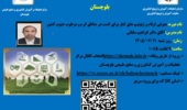 برگزاری وبینار آموزشی معرفی ارقام و ژنوتیپ‌های کُنار در مرکز تحقیقات و آموزش کشاورزی و منابع طبیعی بلوچستان