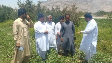 برگزاری دوره آموزشی «مدیریت کاشت پنبه» در شهرستان خاش