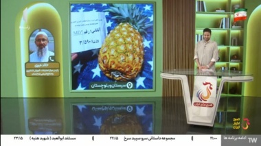 گفتگوی تلفنی دکتر خالد میری، رئیس مرکز تحقیقات و آموزش کشاورزی بلوچستان در برنامه صبح بخیر ایران شبکه یک سیما