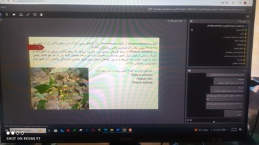 برگزاری دوره آموزشی وبیناری با عنوان حفظ و احیای جنگل های بنه