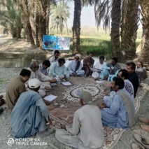 دوره آموزشی ادوات برداشت مکانیزه برنج در بخش دامن و روستای کوهیگان علیا از توابع شهرستان ایرانشهر