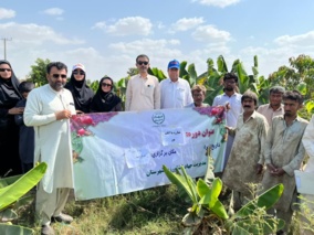 دوره آموزشی آفات و بیماری های میوه های گرمسیری در بخش پیرسهراب از توابع شهرستان چابهار