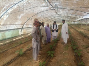 برگزاری دوره آموزشی «احداث گلخانه» برای کشاورزان خاش