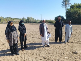 بازدید دکتر خالد میری رییس مرکز از روند آماده‌سازی اراضی جهت کشت آزمایشات و تولید هسته های بذری