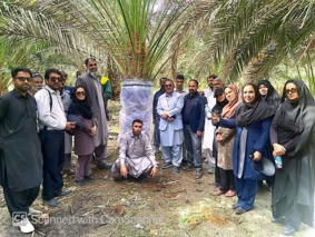برگزاری دوره آموزشی ردیابی و تیمار درختان آلوده به سرخرطومی حنایی خرما
