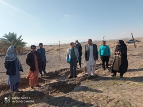 دوره آموزشی اصلاح خاک و تغذیه در باغ های خرما و پسته