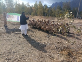 کلاس آموزشی مهارتی" طراحی و احداث باغ" ویژه کارکنان وظیفه در محل تیپ 288 ارتش خاش