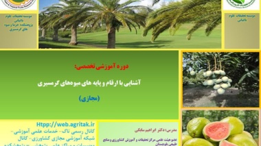 دوره آموزشی آشنایی با ارقام و پایه‌های میوه‌های گرمسیری