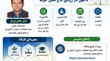 وبینار آموزشی با موضوع «آشنایی و مدیریت عوامل قارچی دخیل در زردی تاج نخل خرما»