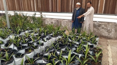 بازدید دکتر خالد میری رئیس مرکز تحقیقات بلوچستان از بخش‌های تحقیقاتی ایستگاه بمپور